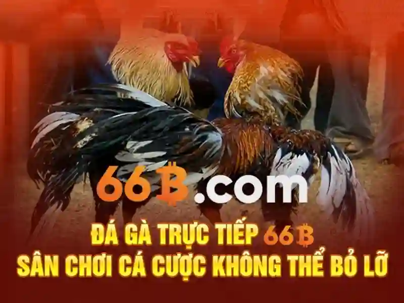 Hiệu suất và giới hạn