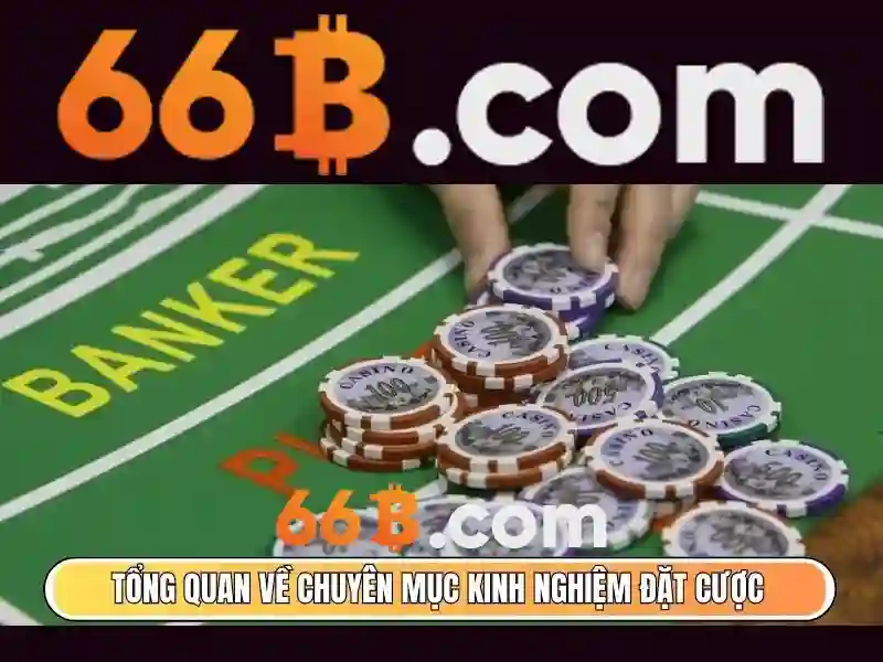 66B: Mô hình ngôn ngữ 66 tỷ tham số và những gì cần biết