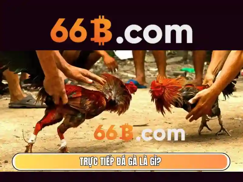 66B: Định nghĩa và tầm nhìn về mô hình ngôn ngữ 66 tỷ tham số