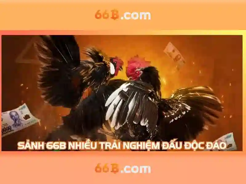 Tương lai của 66b