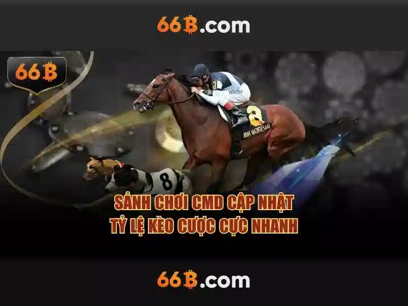 66B là gì và tại sao nó nổi bật