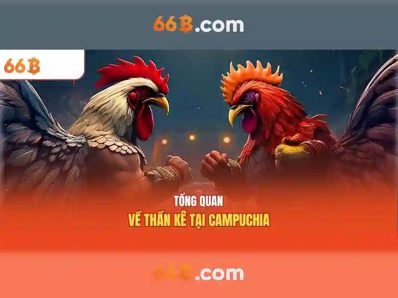 Ứng dụng của 66B