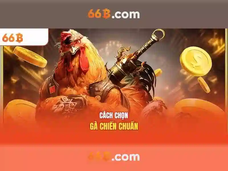 Kiến trúc và kích thước 66b