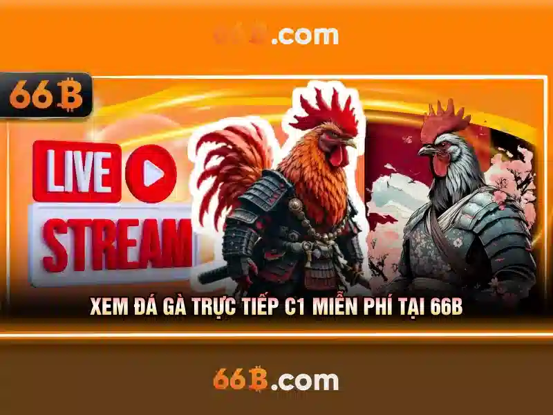 66B: Khám phá một mô hình ngôn ngữ với 66 tỷ tham số