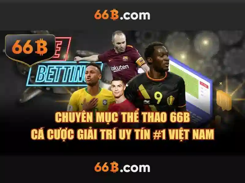 ket-luan-66b