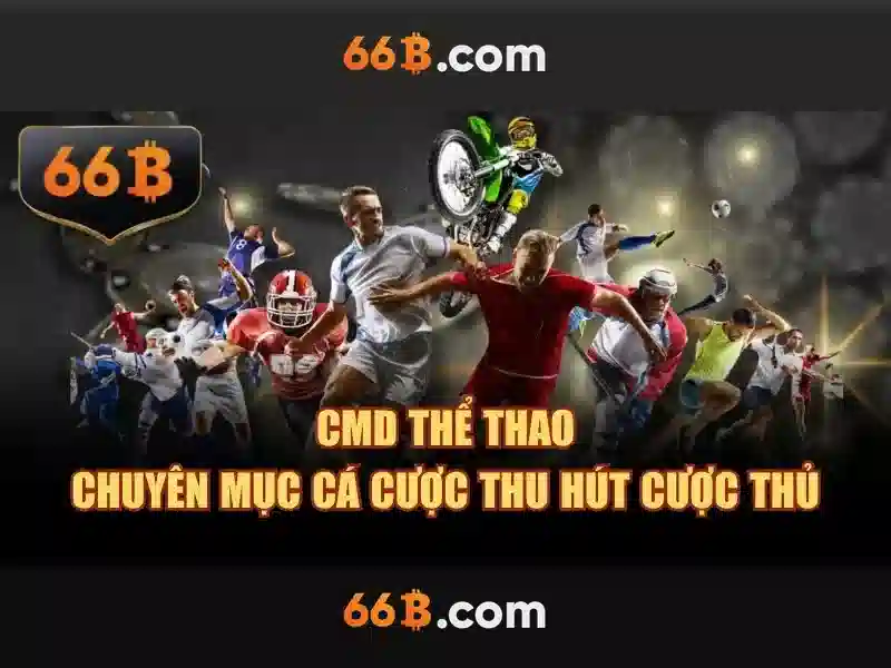 66b và ứng dụng trong công nghệ thông tin