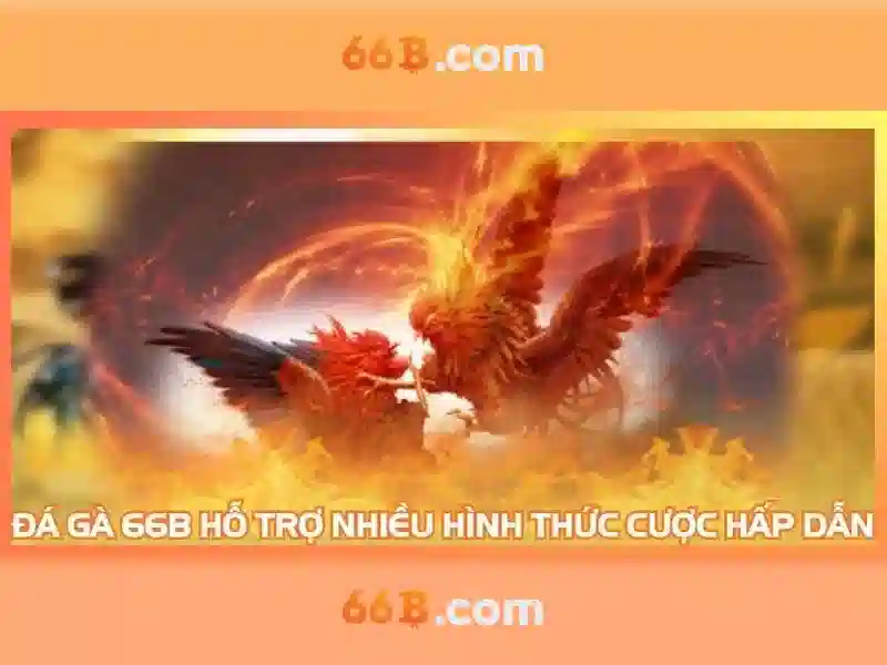 Ứng dụng thực tế của 66B