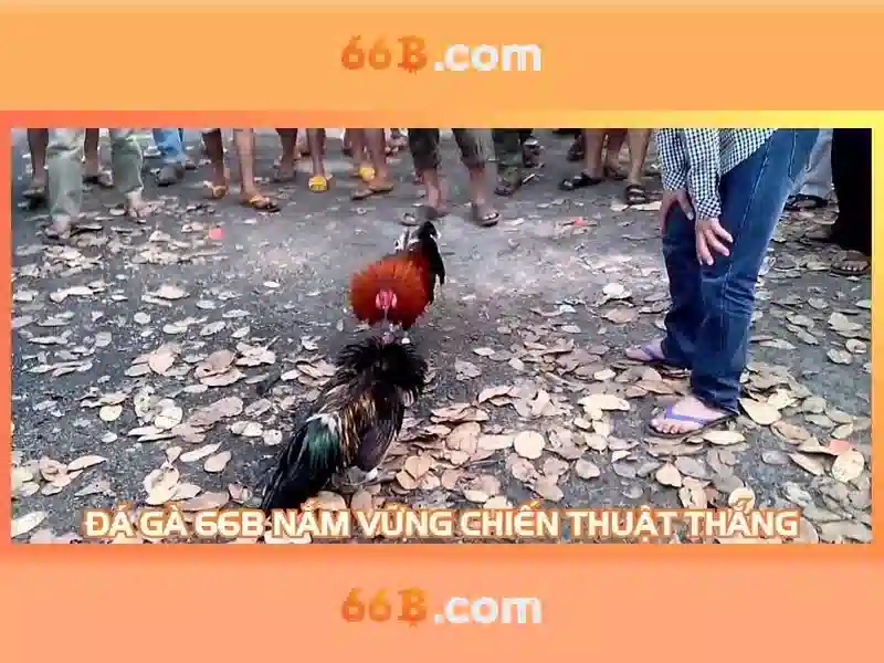 66B: một khái niệm và tác động trong thế giới số