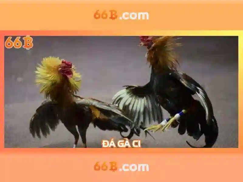Ứng dụng của 66b trong đời sống