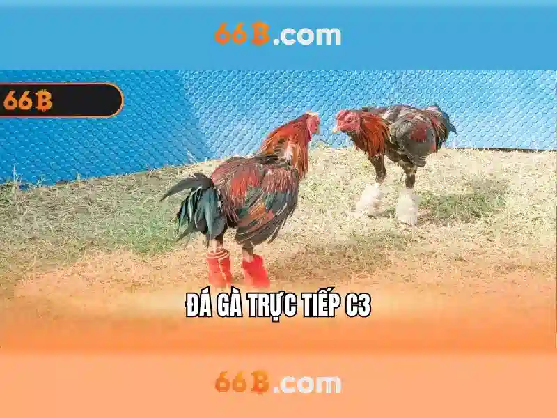 66B trong NLP và AI