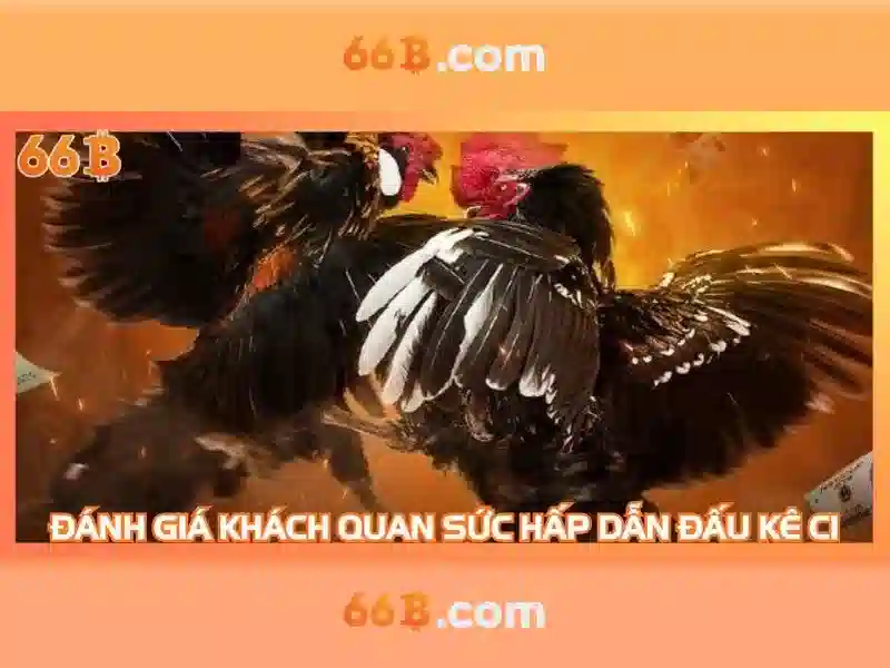 Kích thước và kiến trúc