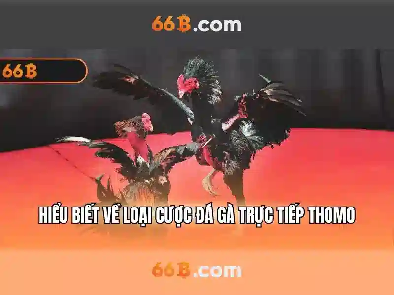 66B là gì trong ngữ cảnh AI