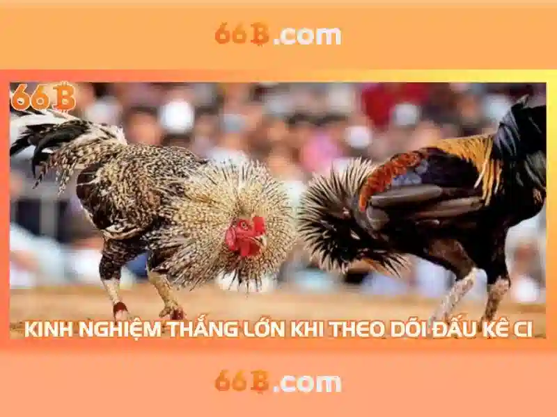 66b - mo hinh ngon ngu quy mo lon