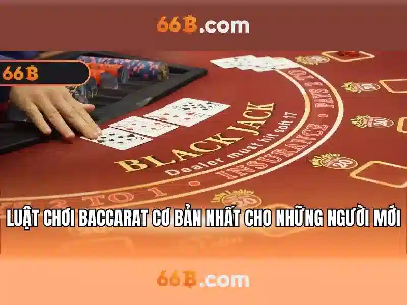 Cách đo và hiểu kích thước