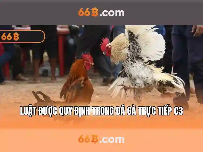 Kiến trúc và cách hoạt động