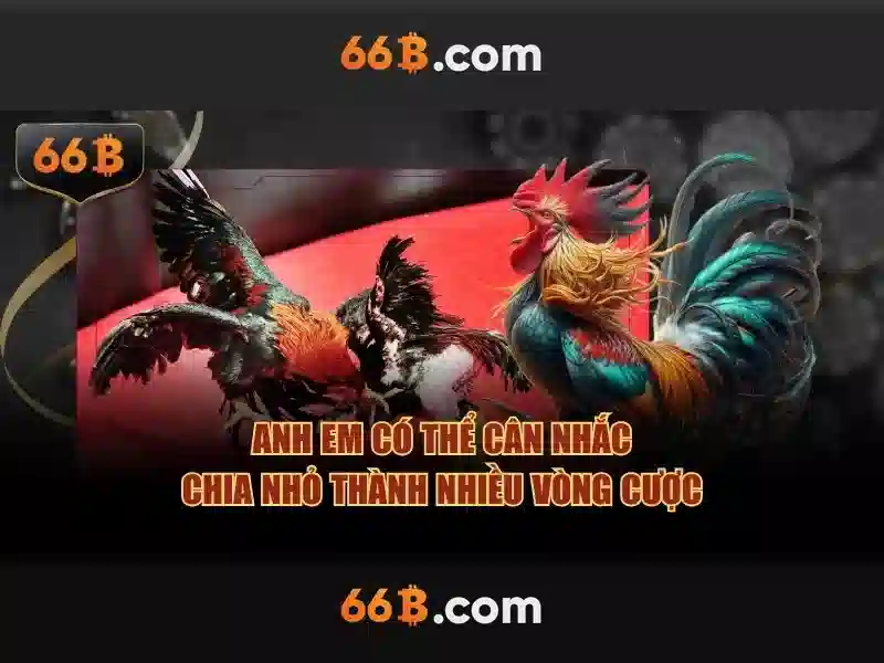 66B: Mô hình ngôn ngữ 66 tỷ tham số - Tổng quan và ứng dụng