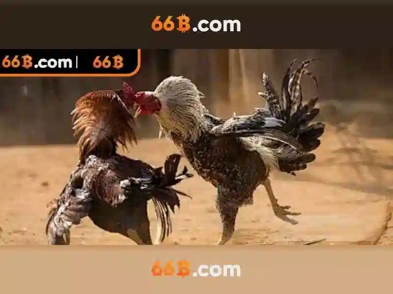 66b: một cái nhìn tổng quan về mô hình ngôn ngữ quy mô lớn
