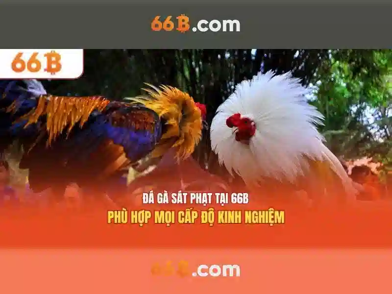 Kiến trúc và quy mô