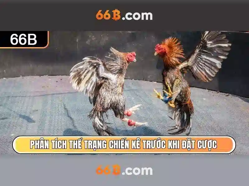 Nguồn gốc và sự phát triển của 66b