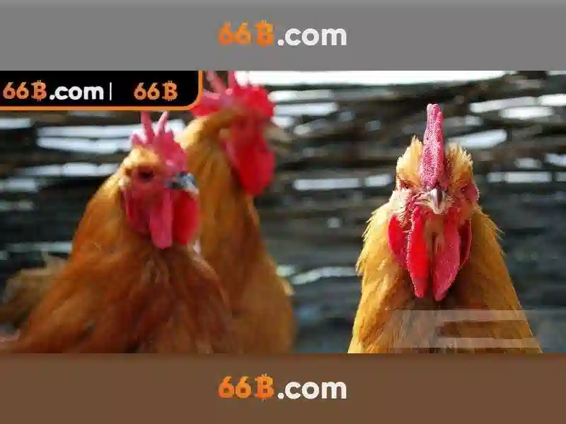 Khái niệm 66B