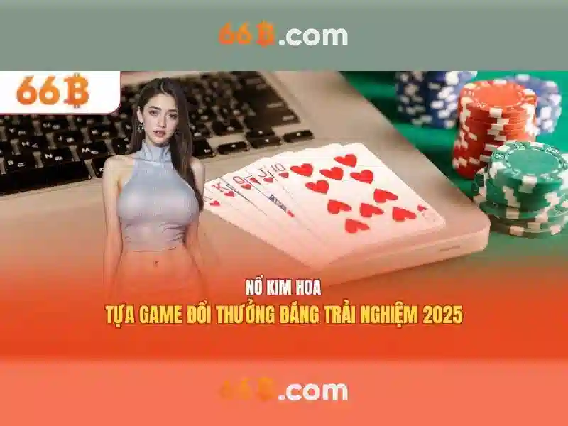 66B tổng quan