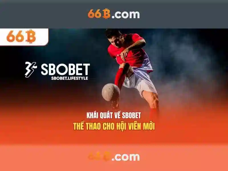 Kết luận