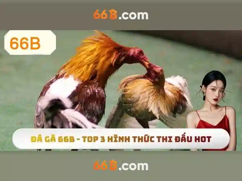 gioi-thieu-dang-nhap-66b