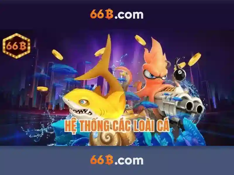 66B là gì?