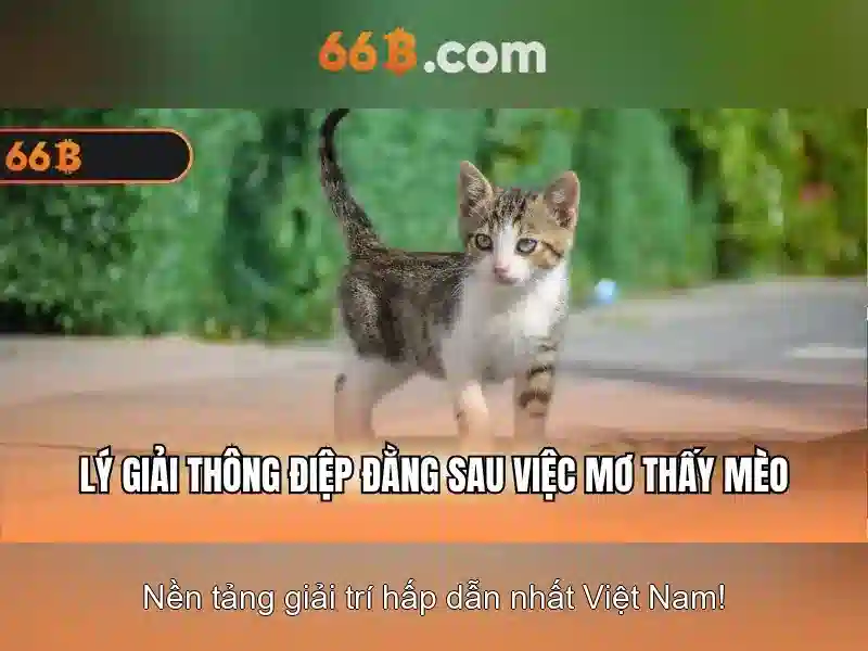 bao-mat-tai-khoan-va-duong-luong