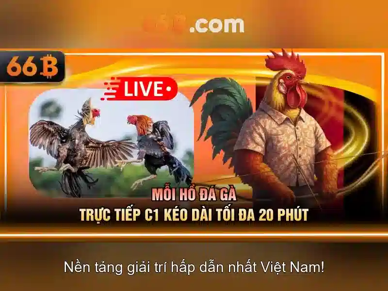 66B là gì và tại sao nó quan trọng