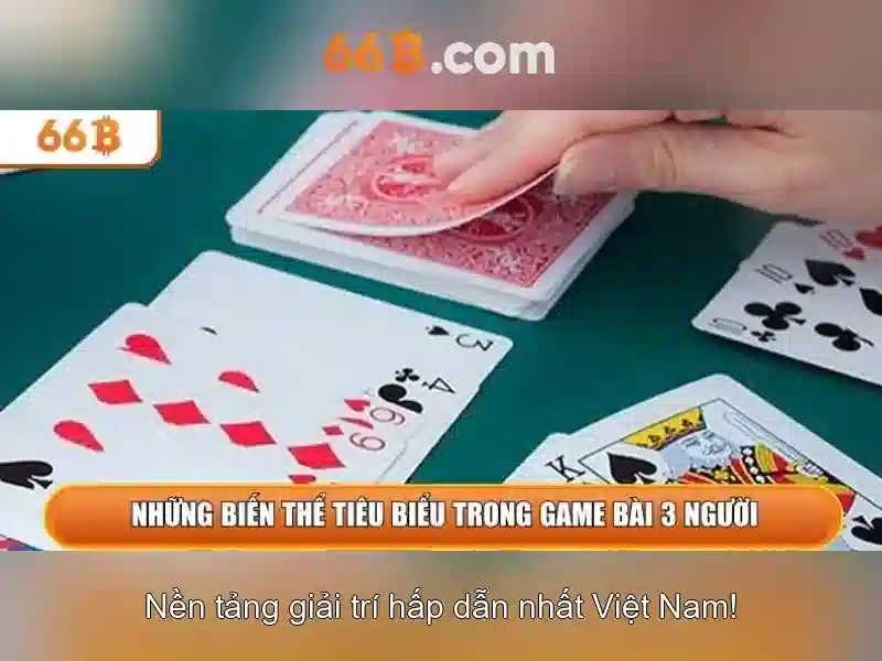 66B là gì?
