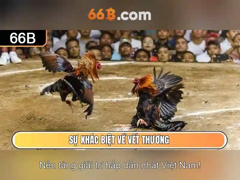 Định vị thị trường và tương lai