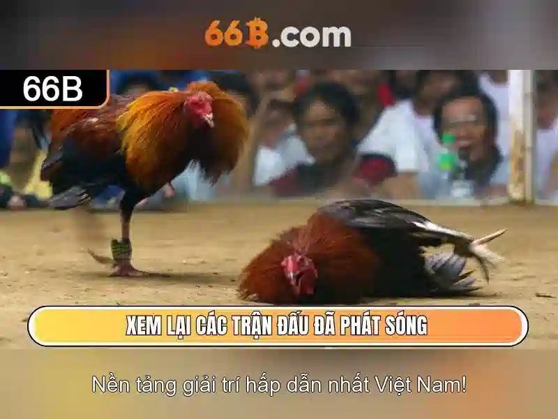 Ung dung cua 66B trong cong nghe hien nay