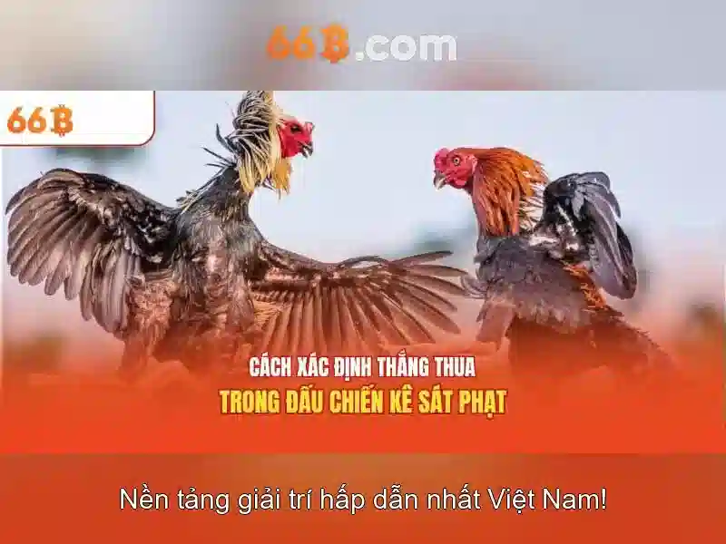 Ưu điểm và giới hạn