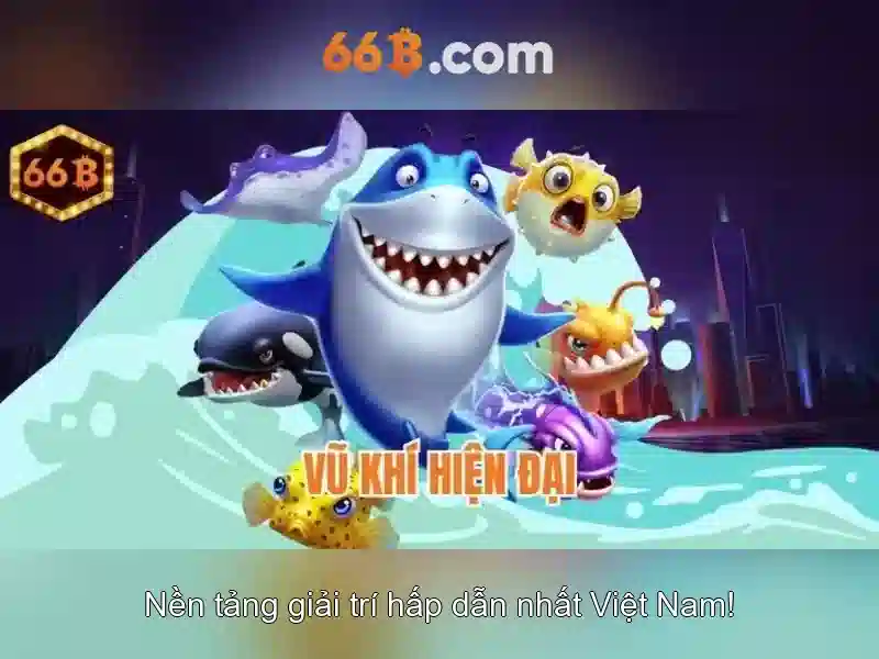 66B là gì
