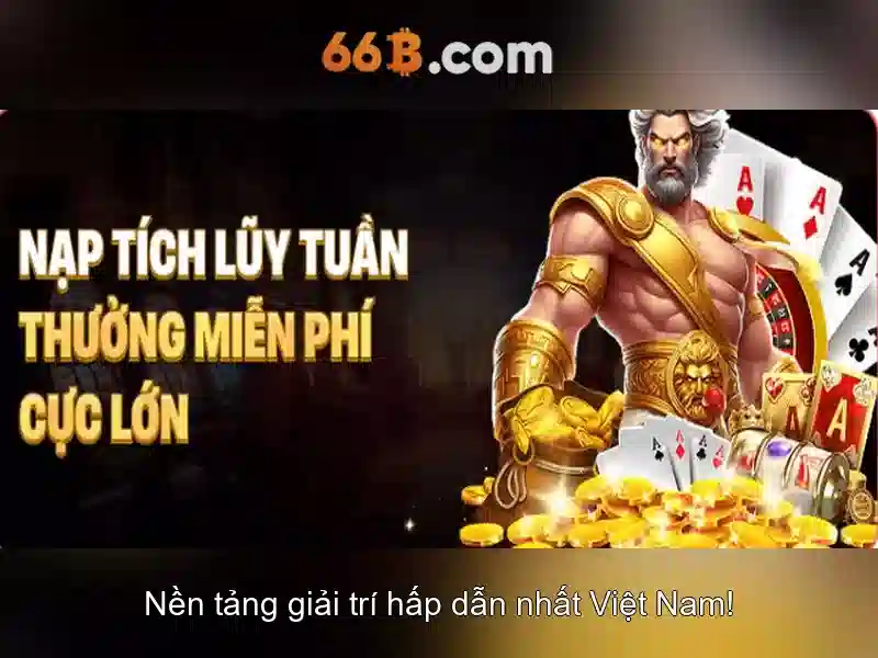 Hiệu suất và tối ưu hóa