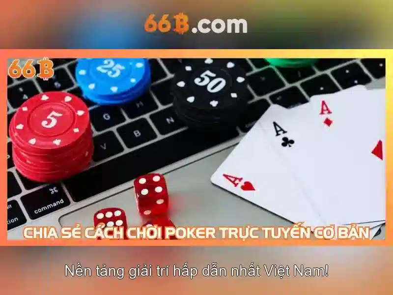 Đặc điểm chính của 66b