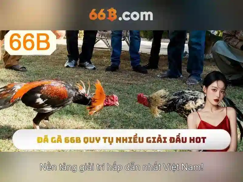 Khía cạnh kỹ thuật và tham số