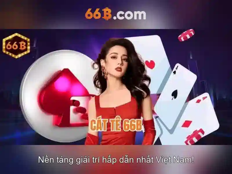 Khái niệm cơ bản về 66b