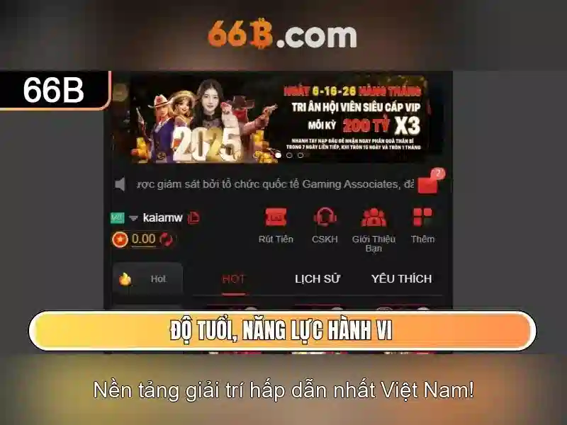 Kiến trúc và khả năng của 66B