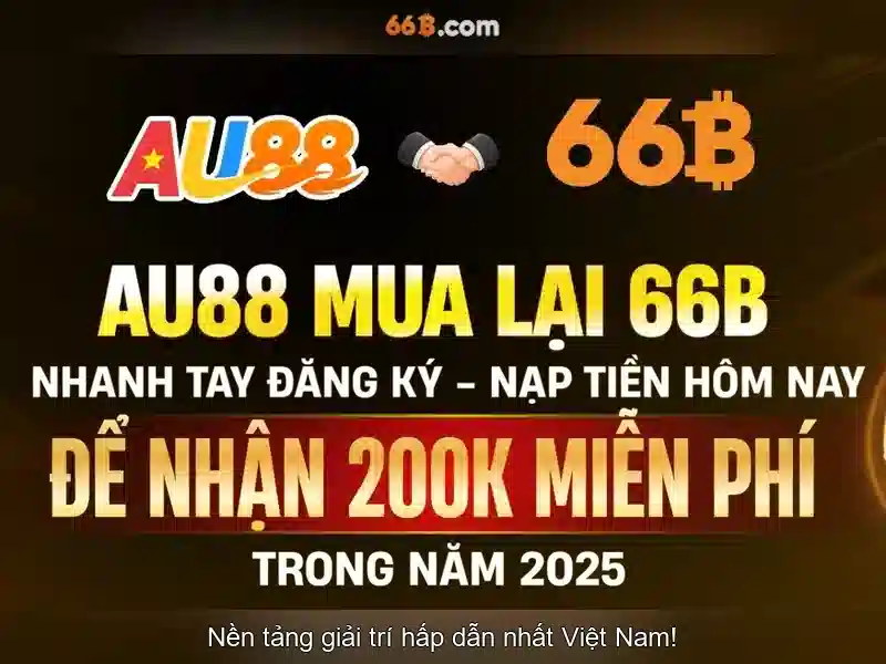 66B là gì?
