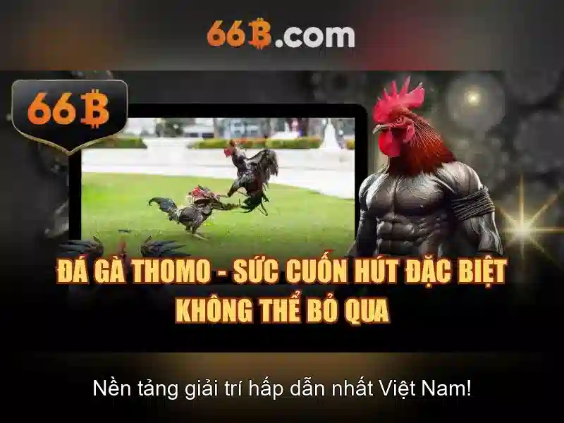 66b trong văn hóa và truyền thông