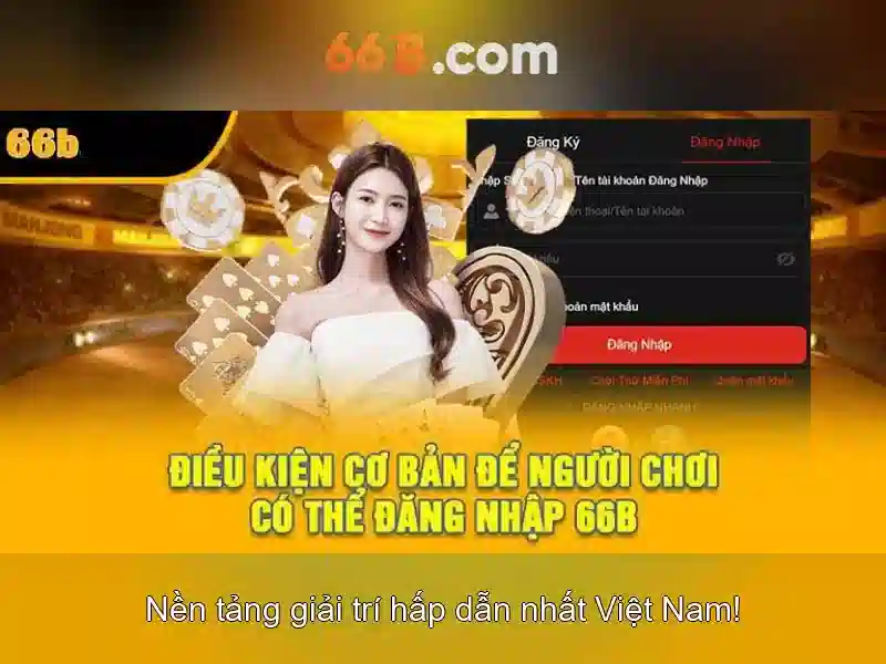 66b là gì