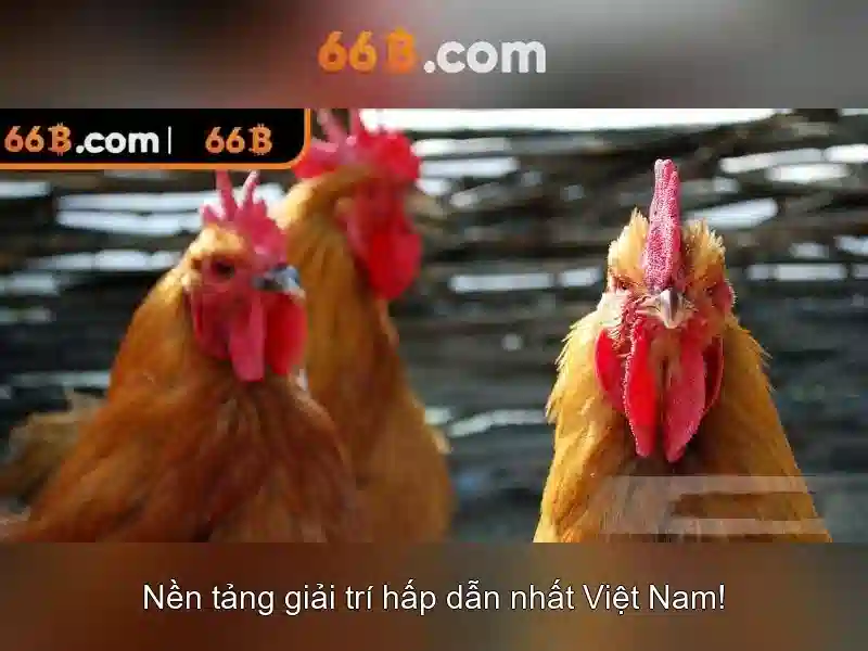 66b – một mô hình ngôn ngữ lớn