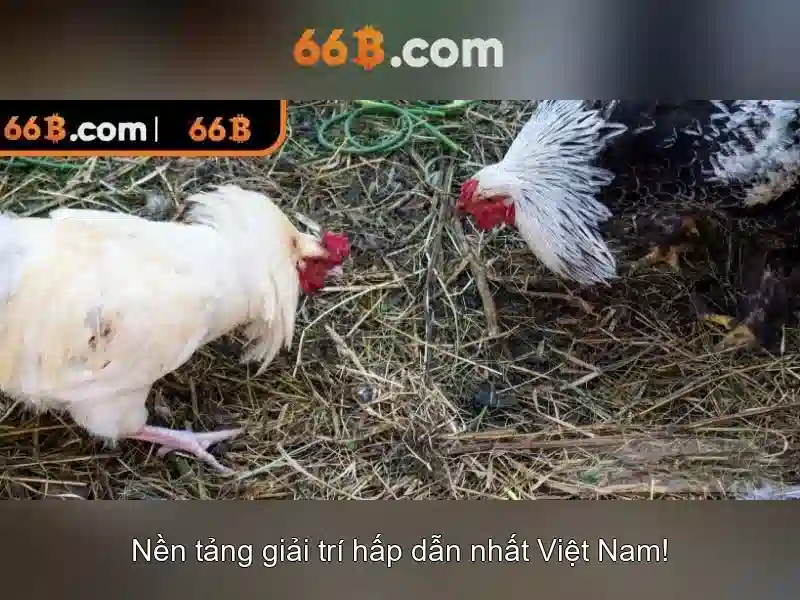 An toan tai chinh khi rut tien