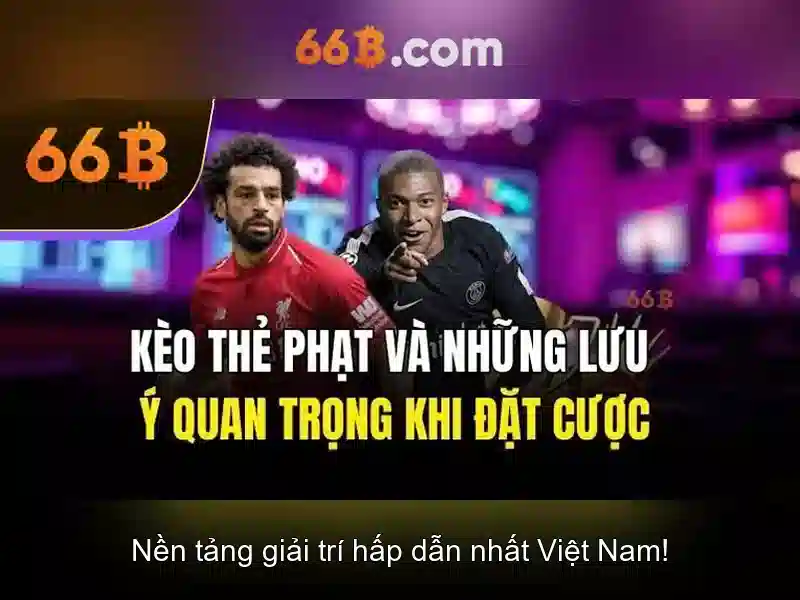 66B là gì?
