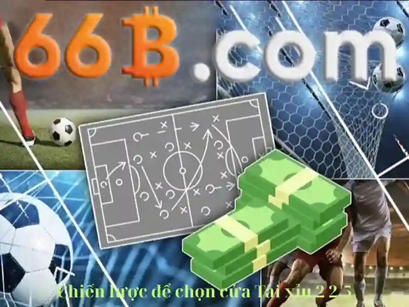 Định vị 66b trong hệ sinh thái AI