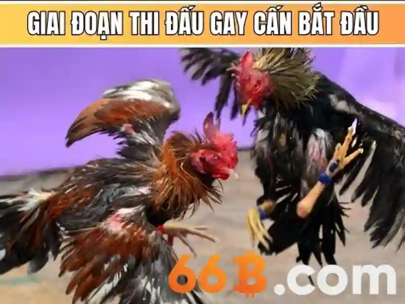 66 tỷ tham số: Khai phá tiềm năng của mô hình ngôn ngữ lớn