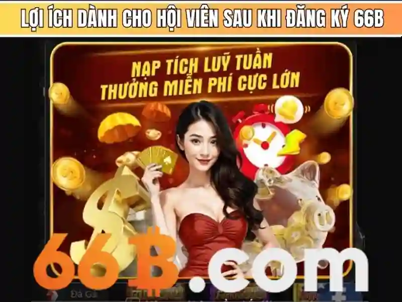66B: một cái nhìn tổng quan