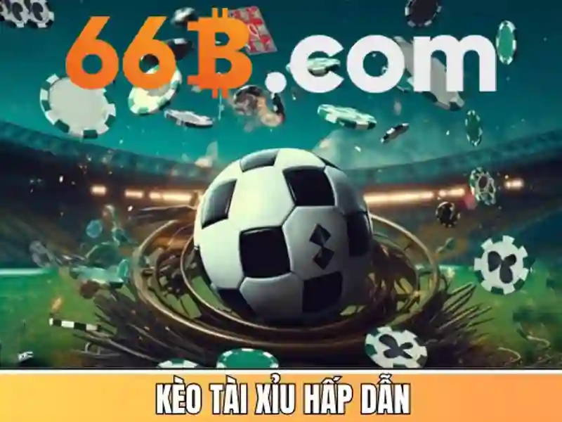Kết luận}